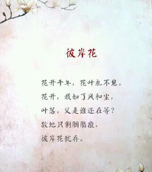 花语的文字形式如何体现？是什么意思？