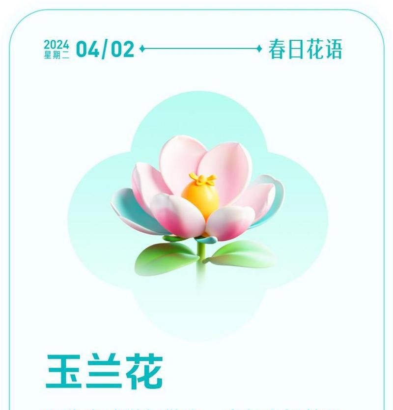 玉兰的花语代表了什么？它传递了哪些情感？