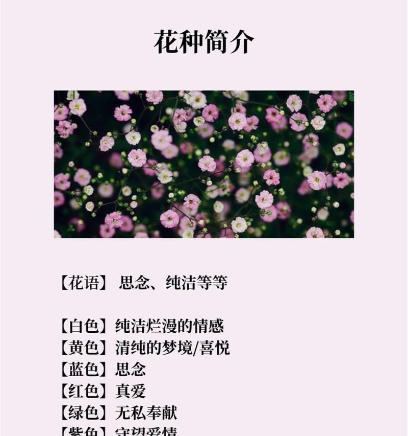 暗示思念的花语是什么？如何通过花语表达思念之情？