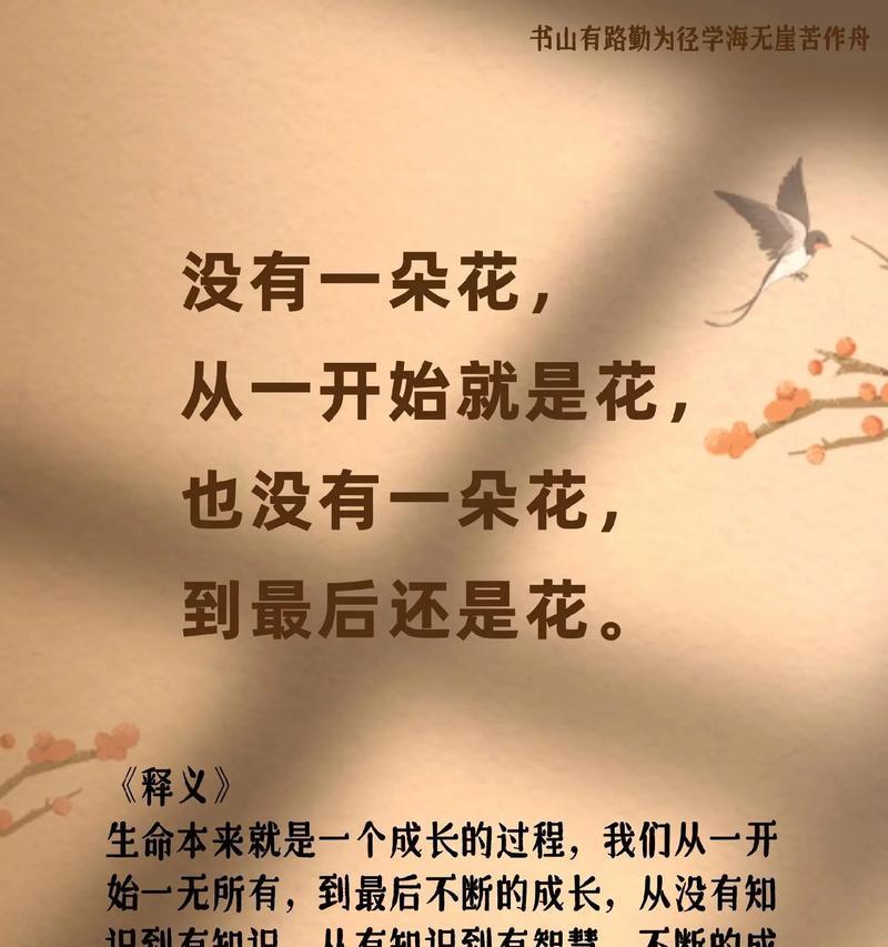 一枝低调的花语有何含义？代表了什么？
