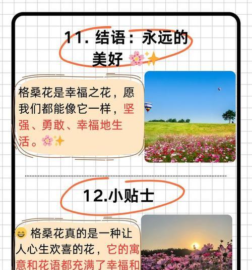 愿你幸福的花语有何寓意？如何用花语传达祝福？
