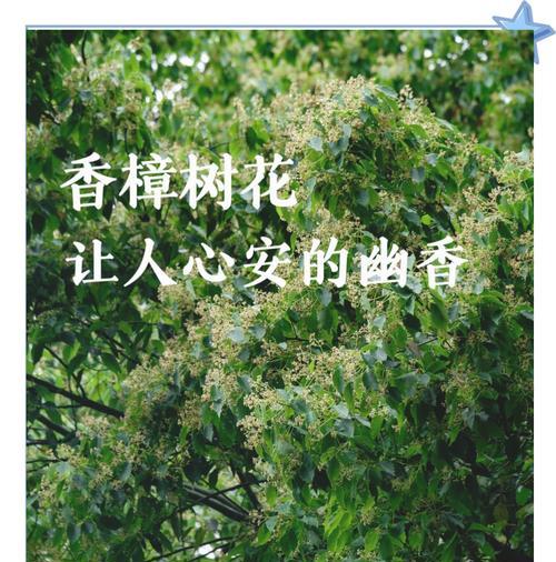 大树的花语有何含义？大树花语通常表达什么？