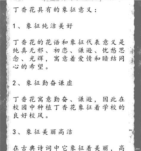 花语是隐忍的花代表什么含义？
