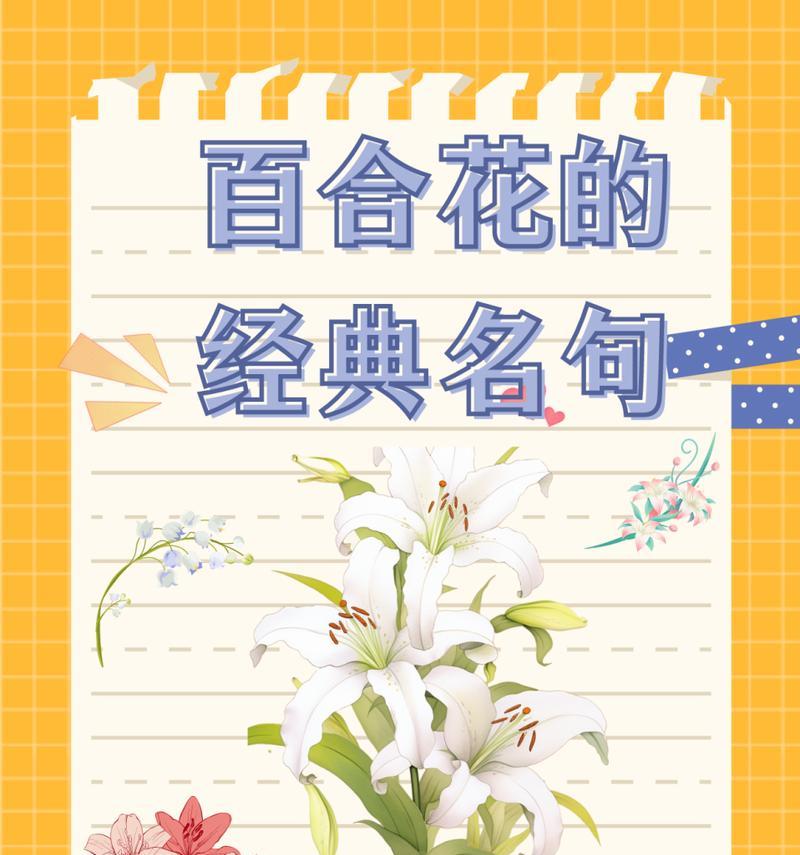 百合花的代表花语有哪些？如何用百合表达爱意？