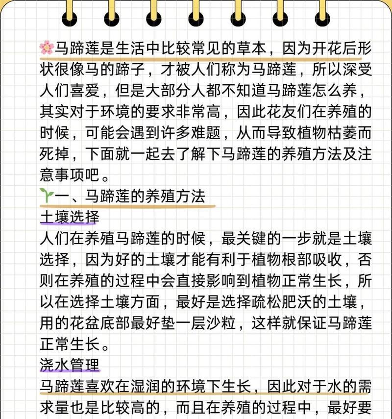 马蹄莲怎么养？养护指南分享！