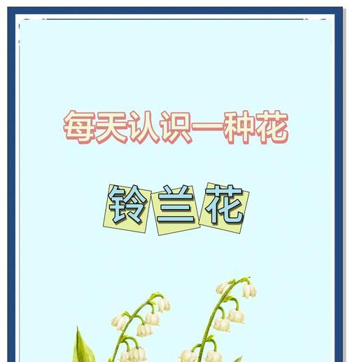 铃兰花期是什么时候？养护指南分享！