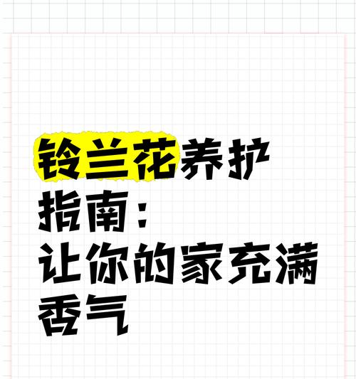 铃兰花期是什么时候？养护指南分享！