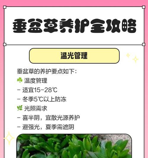室内无光条件下哪些神草能爆盆？