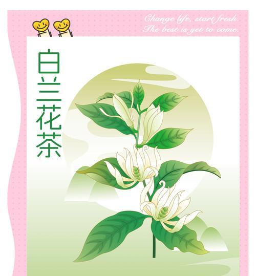 白兰花的养护指南是什么？