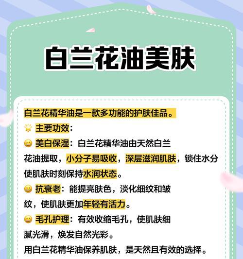 白兰花的养护指南是什么？