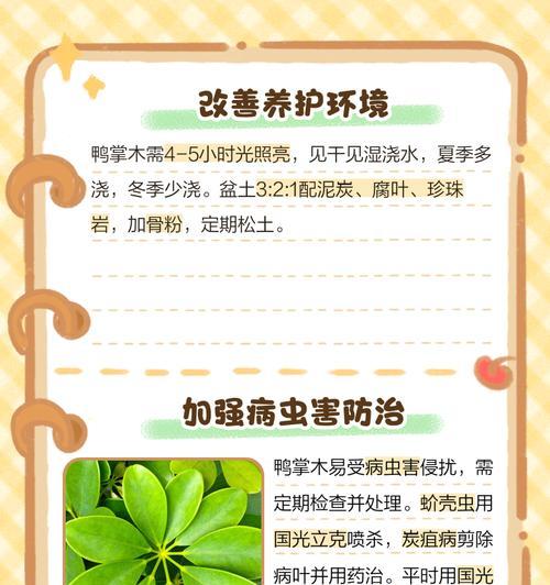鸭掌木叶子发黄脱落的原因是什么？
