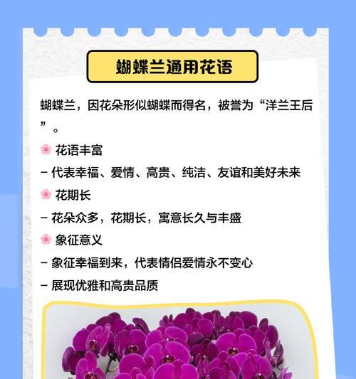 不懂花语何谈赏花？山西常见花花语有哪些？