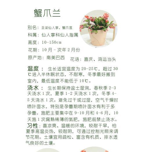 爪兰的养殖方法和注意事项是什么？