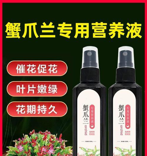 爪兰的养殖方法和注意事项是什么？