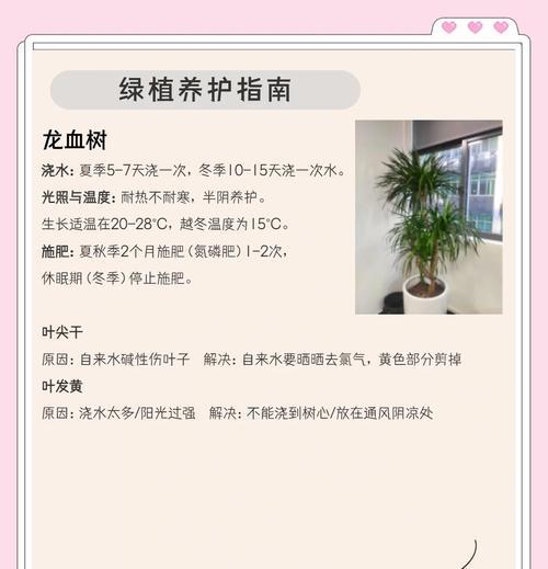 瑞典常青藤的养护与繁殖指南是什么？
