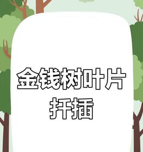 如何成功扦插小苗？扦插小苗的正确步骤是什么？