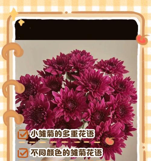 小雏菊多久开花？种植小雏菊的正确方法是什么？