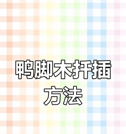 鸭脚木如何扦插？扦插鸭脚木的正确步骤是什么？
