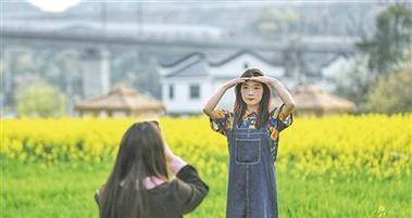 如何规划赏花旅行以体验“赏花经济”？