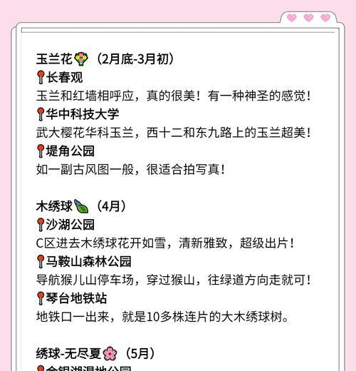如何规划赏花旅行以体验“赏花经济”？