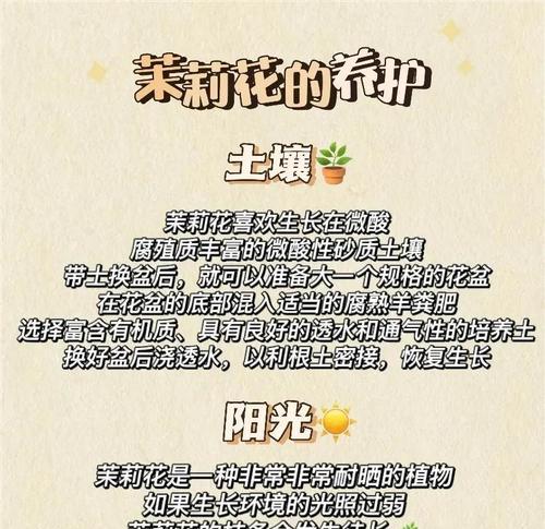 米兰花的正确养护与修剪技巧是什么？