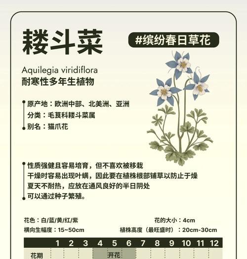 播种与养护蔬菜的秘籍是什么？