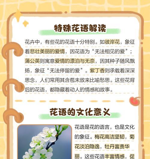如何制作雏菊天然植物干花？