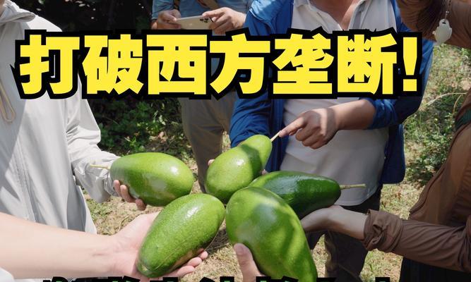 如何轻松亩产超3？