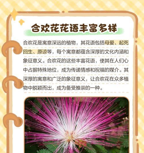 花卉的朵数与花语有何关联？