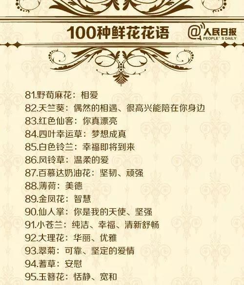 花卉的朵数与花语有何关联？
