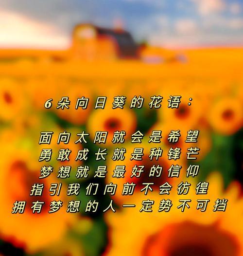 花卉的朵数与花语有何关联？