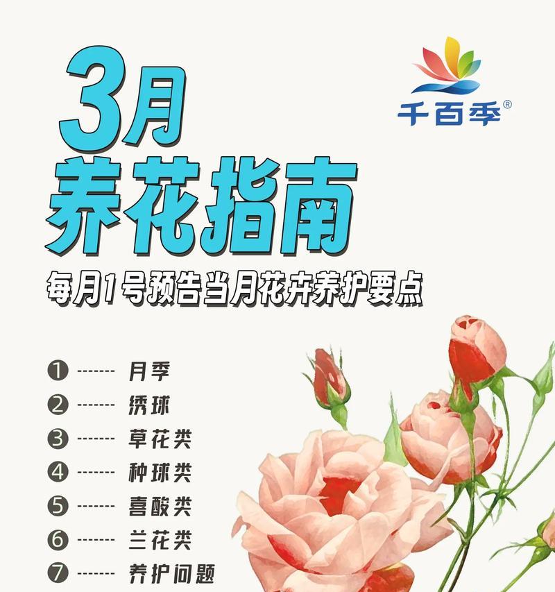 绣球花的魅力与养护要点是什么？
