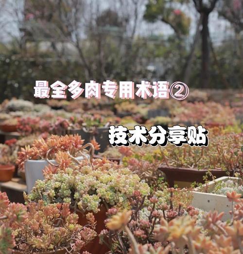 植物生长需要哪些基本条件？如何科学养护植物？