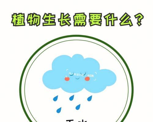 植物生长需要哪些基本条件？如何科学养护植物？