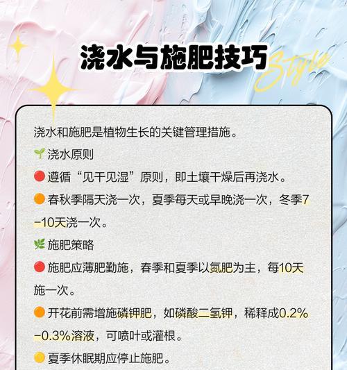 君子兰如何养殖？养殖过程中应注意哪些问题？
