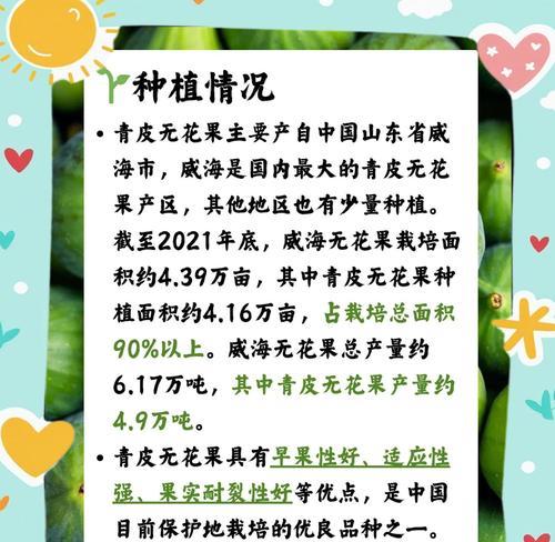 无花果有哪些品种推荐？如何选择适合自己的无花果品种？