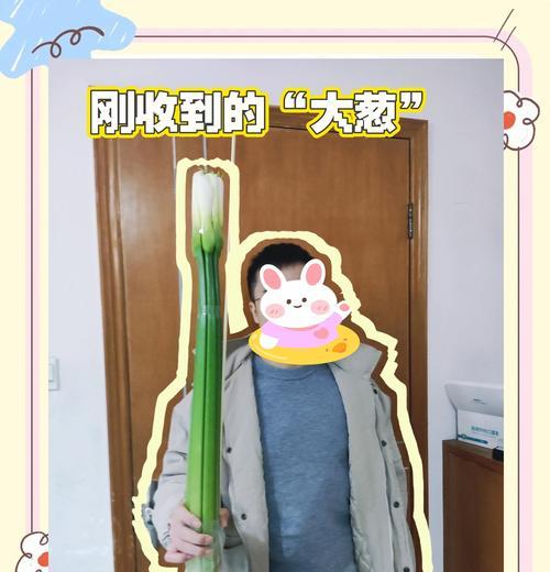 马蹄莲如何养护？马蹄莲养护过程中应注意什么？