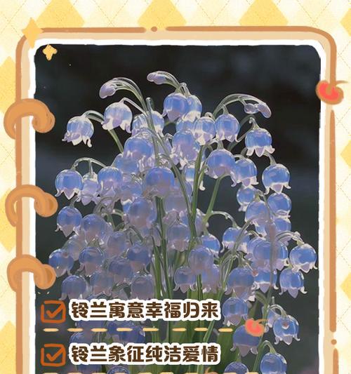 铃兰花语花期有多久？