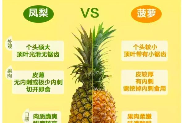 生姜通过胚芽培育新株的无性繁殖模式解析是什么？