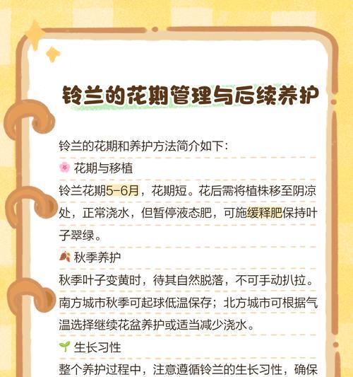 铃兰的养护攻略是什么？