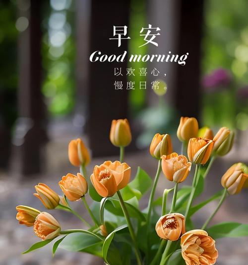 春日花卉的花语有哪些？