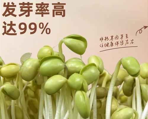 黄豆催芽处理有哪些好处和风险？