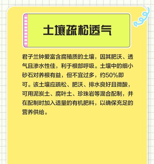 君子兰休眠期如何养护？