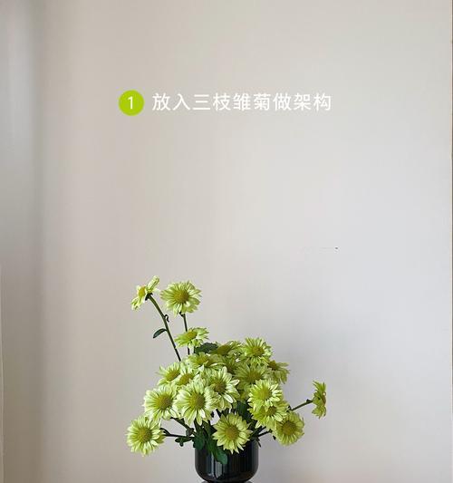 雏菊如何用于插花艺术？魅力何在？