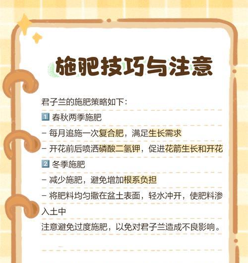 君子兰的养护秘籍是什么？如何让花朵年年绽放？