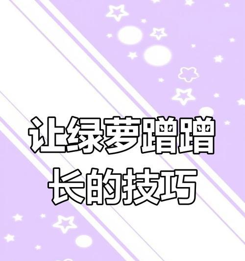 绿萝的养护秘籍大公开！如何两个月变身“绿藤精灵”？