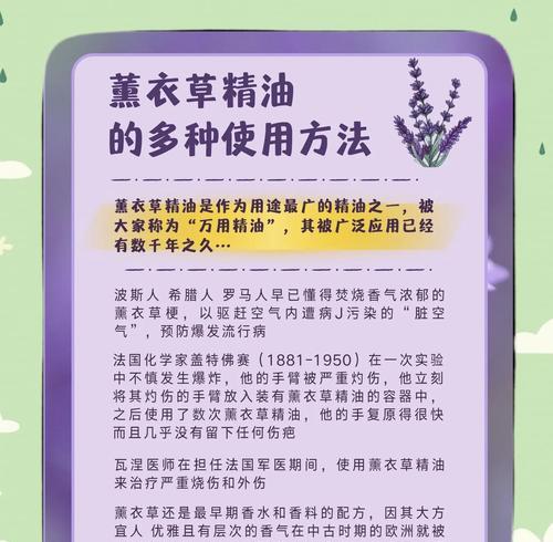 薰衣草的养护方法是什么？
