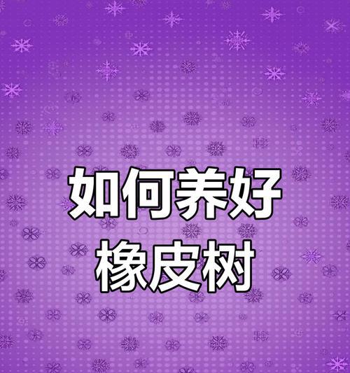 从光照到肥料，橡皮树养护全攻略？