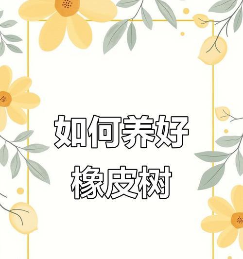 从光照到肥料，橡皮树养护全攻略？