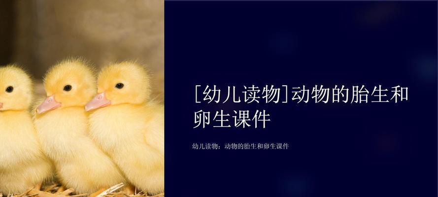 从卵生到胎生，动物繁殖方式有哪些？
